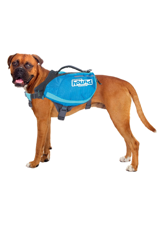 Dog backpack gift for dog dad