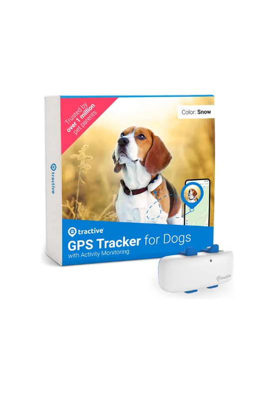 GPS dog tracker: Camping Equipment for Dogs