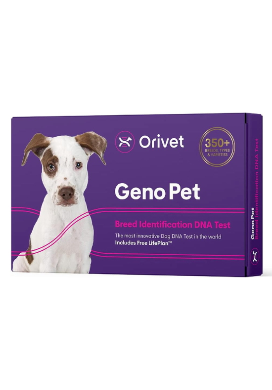 Dog DNA test gift for dog lovers