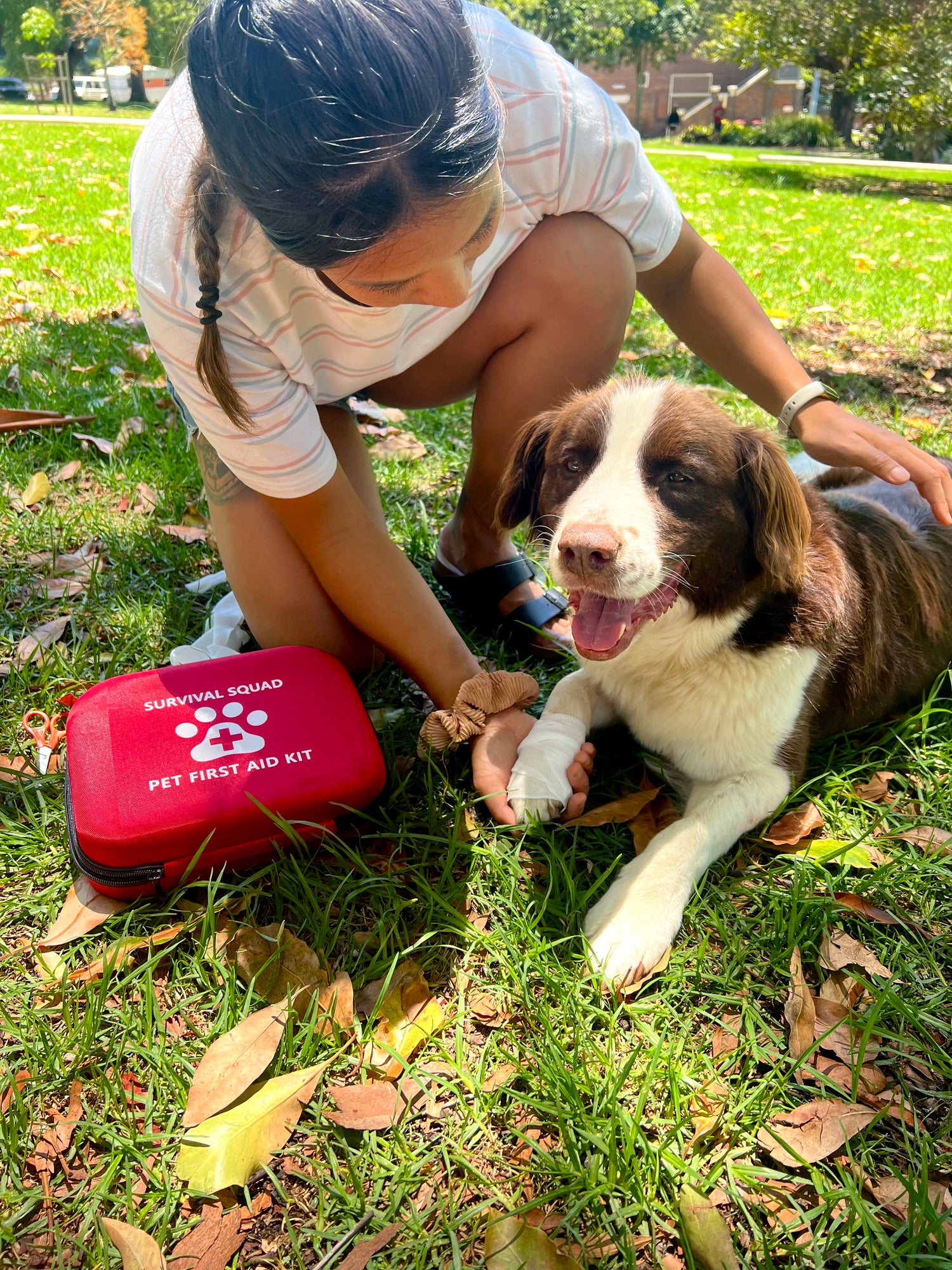 Pet First Aid Kit for Dogs and Cats